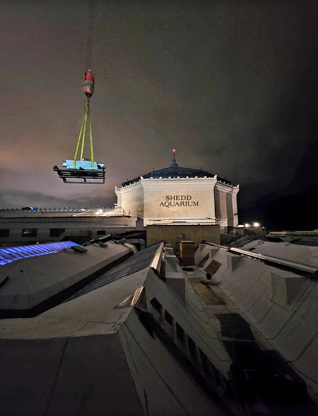 Shedd Aquarium Renovations