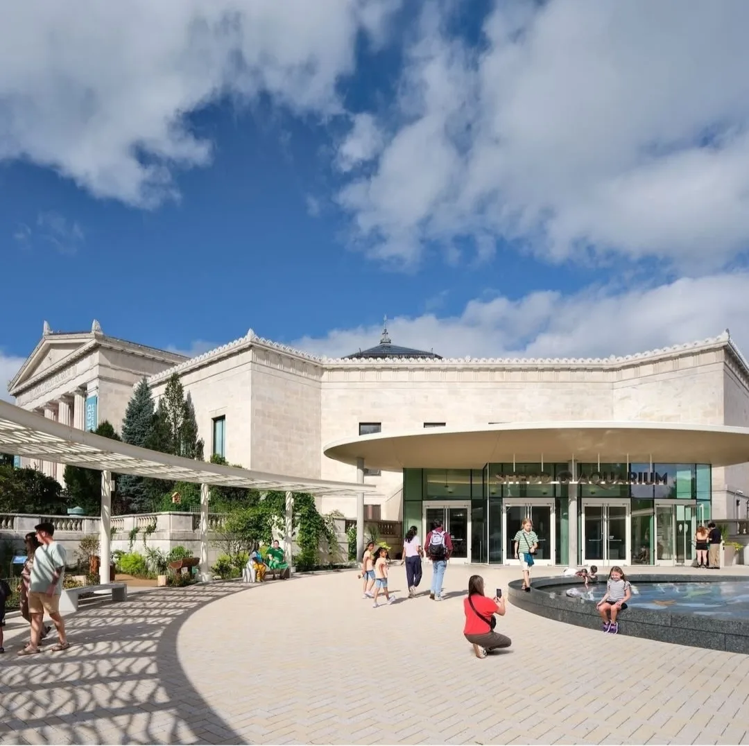 Shedd Aquarium Renovations field photo 7